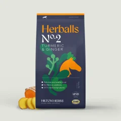 Treats HILTON HERBS Herballs Turmeric & Ginger