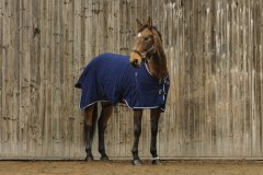 EQUITHEME 'Vague' Fleece sheet