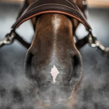 Dušnost u koně