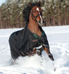 Wasserdichte Rambo-Decke, 200 g