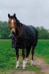 Nepromokavá deka pro koně EQUITHÈME - TYREX 600D