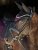 Set EQUESTRIAN STOCKHOLM Purple Night Jump
