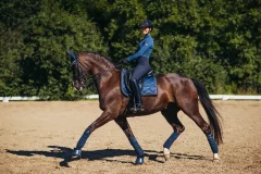 Drezurní podsedlová dečka Equestrian Stockholm Monaco Blue