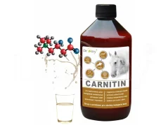 Dromy L-Carnitin sirup 1 l
