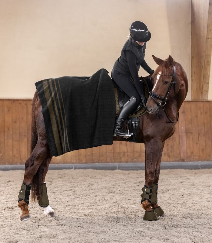 Drezurní chrániče Waldhausen Comfort Fit
