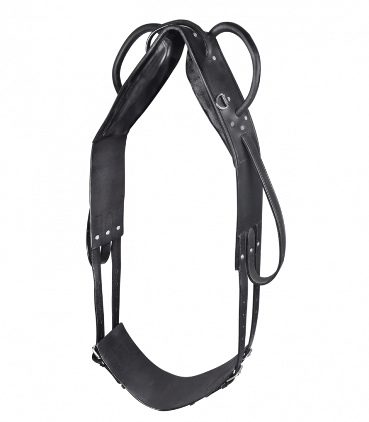 Voltižní a lonžovací obřišník s madly STAR PONY