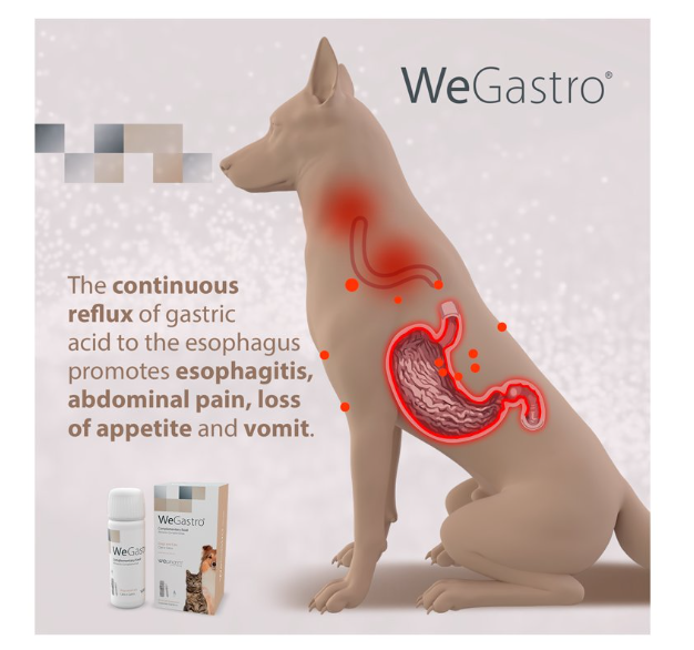 WEGASTRO - ochrana žaludku a úleva při potížích