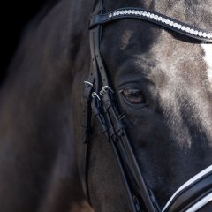 Weymouth bridle HVPLegacy deluxe