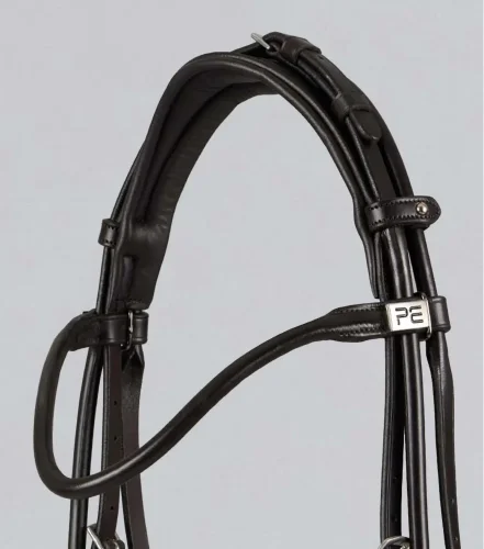 Finetti Rolled Leather Snaffle Bridle