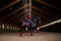 Dressage saddle pad Equestrian Stockholm Bordeaux