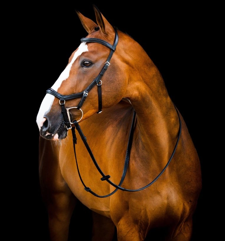 Uzdečka Horseware Micklem 2 Deluxe Competition