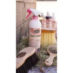 Lesk EASY SHINE RAVENE ECO 750ml