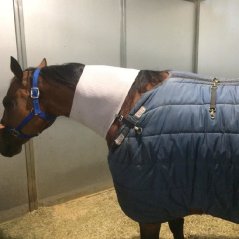 Cirkulační návlek na krk pro koně INCREDIWEAR EQUINE