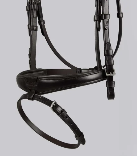 Artana Snaffle Bridle