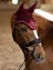 Set EQUESTRIAN STOCKHOLM Line Bordeaux
