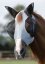 Elastická maska proti hmyzu Premier Equine Lycra 70% UV