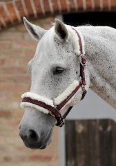 Ohlávka pro koně Premier Equine Collar