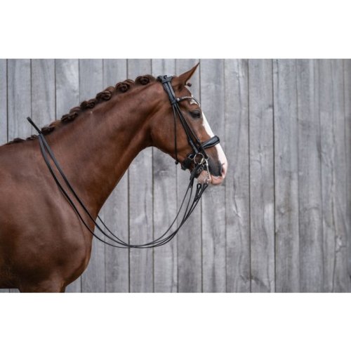 Dressage bridle HKM Kate