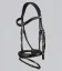 Cassano Snaffle Bridle