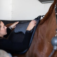 Drezurní podložka pod sedlo ACAVALLO MF DS SW-3DS